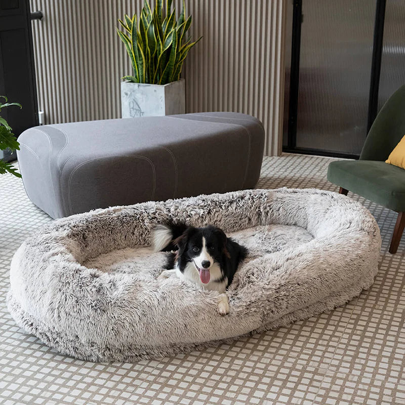 Savvy Nest™ Human Size Dog Bed